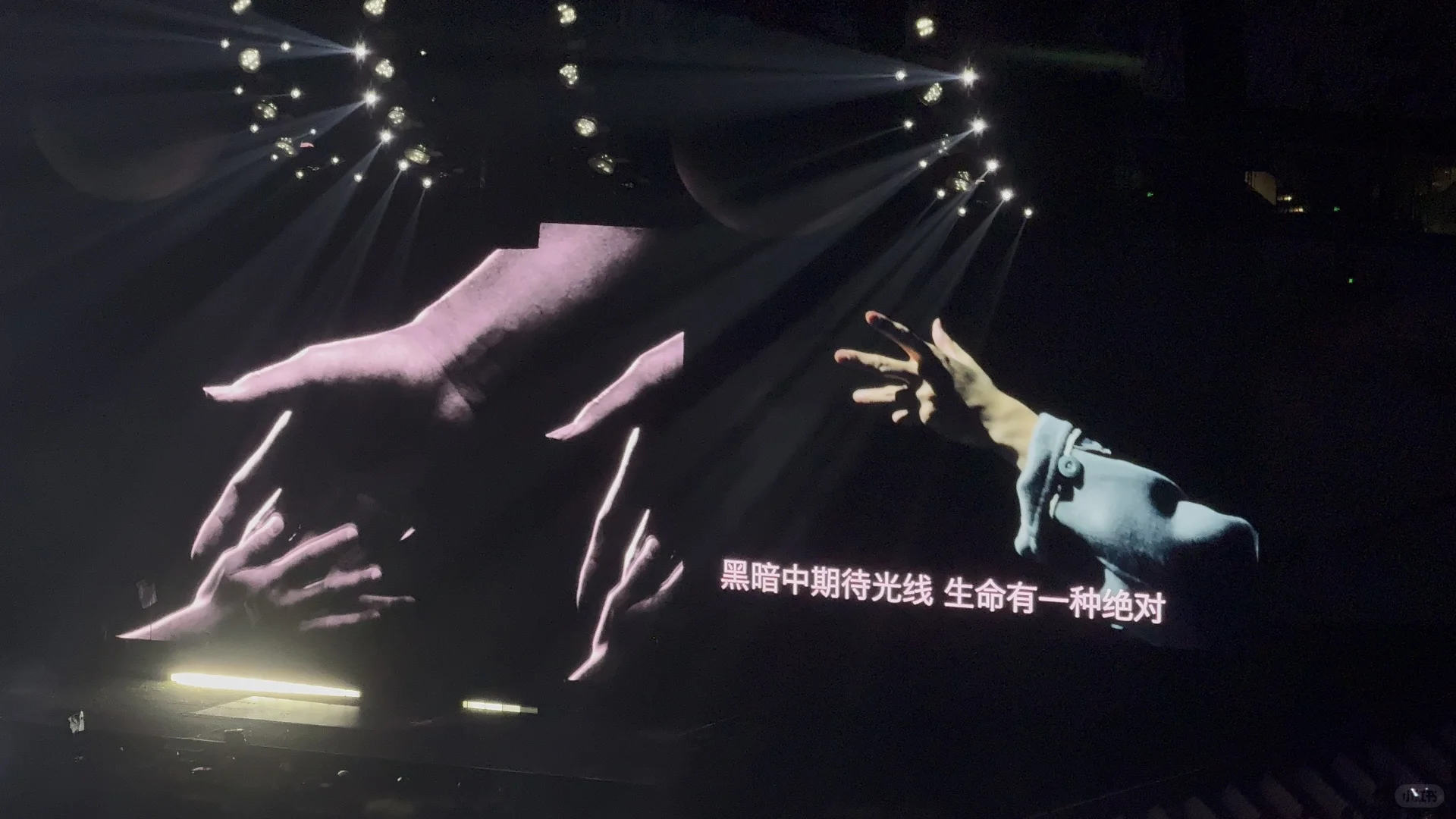 2025年五月天软玻璃年度报告