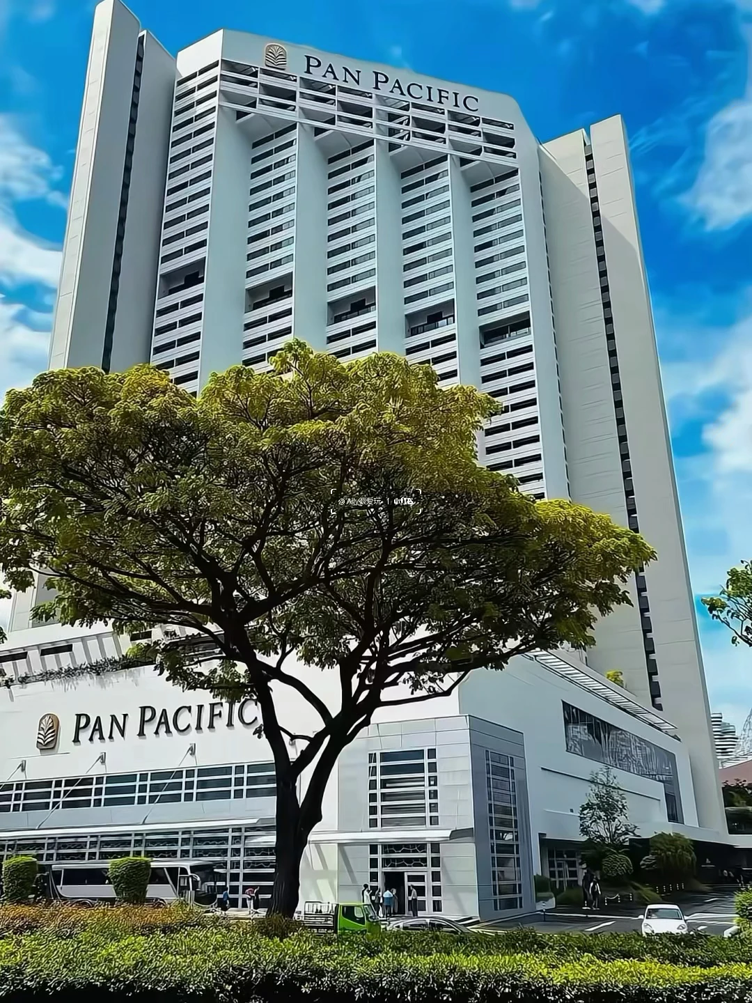 有人去新加坡吗(12.16-3.31)直出泛太平洋?