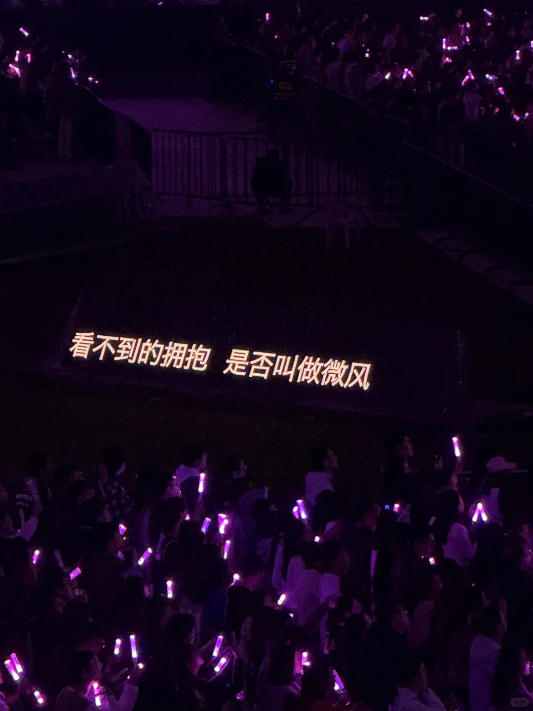 2025年五月天软玻璃年度报告