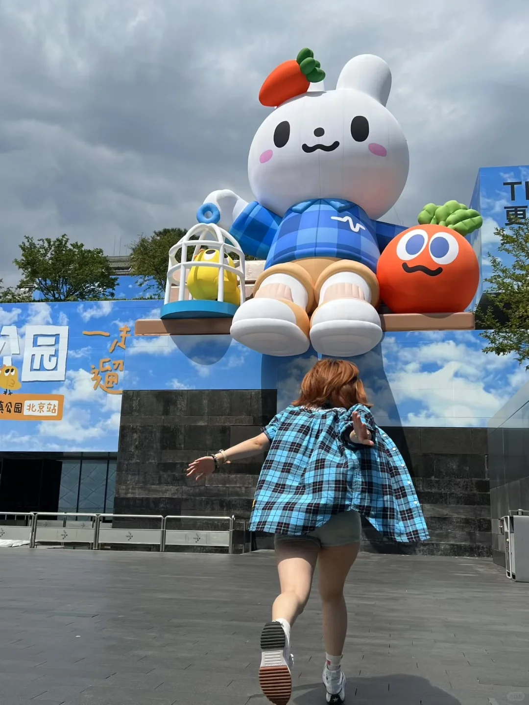 2025Maydayland年度报告