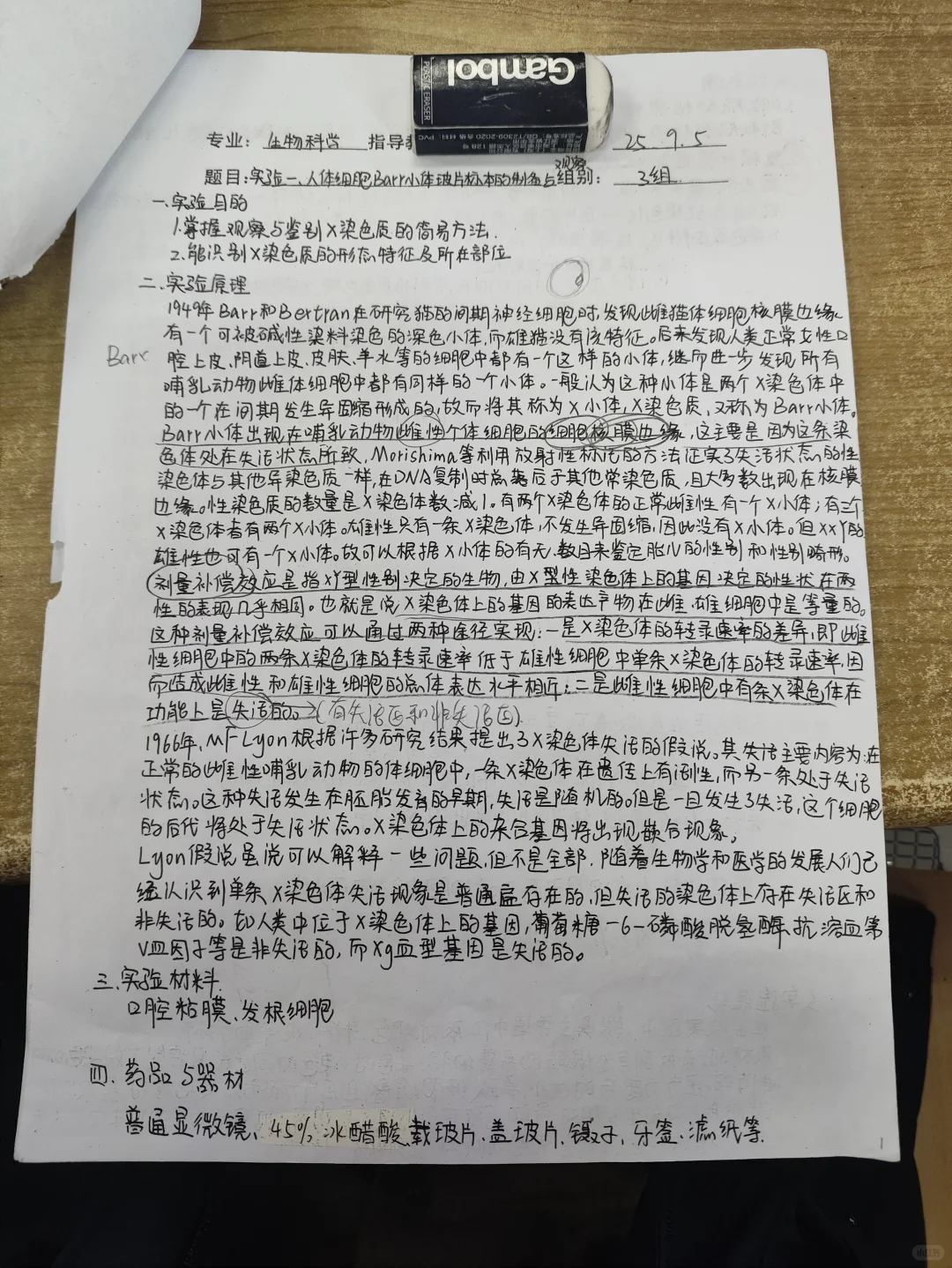 人体细胞巴氏小体玻片标本的制备与观察