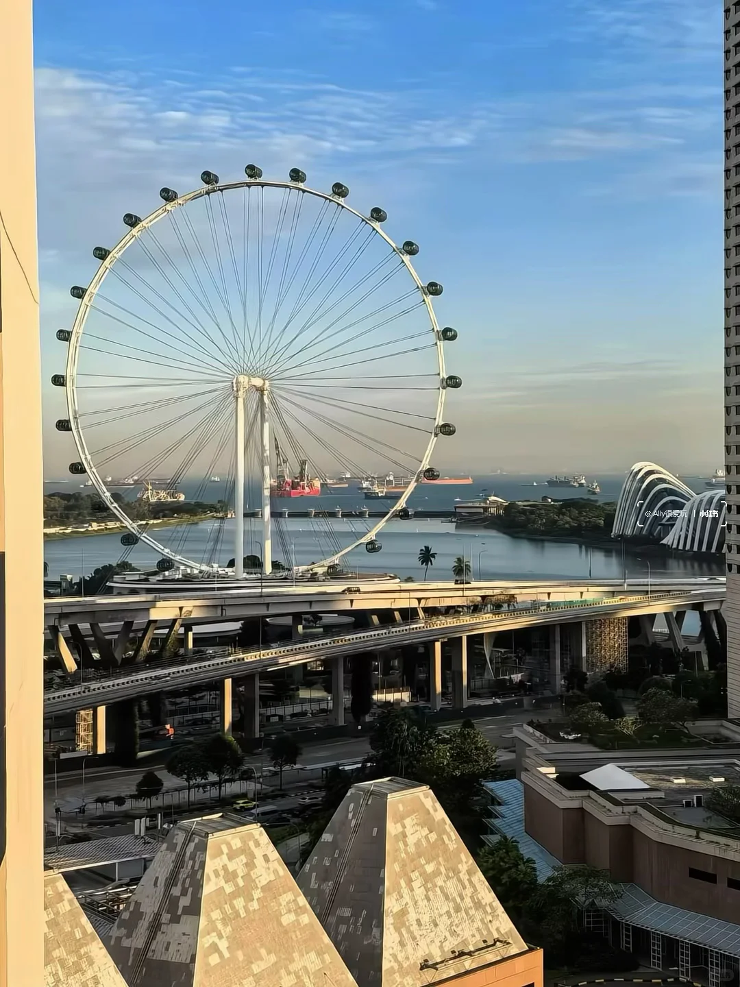 有人去新加坡吗(12.16-3.31)直出泛太平洋?