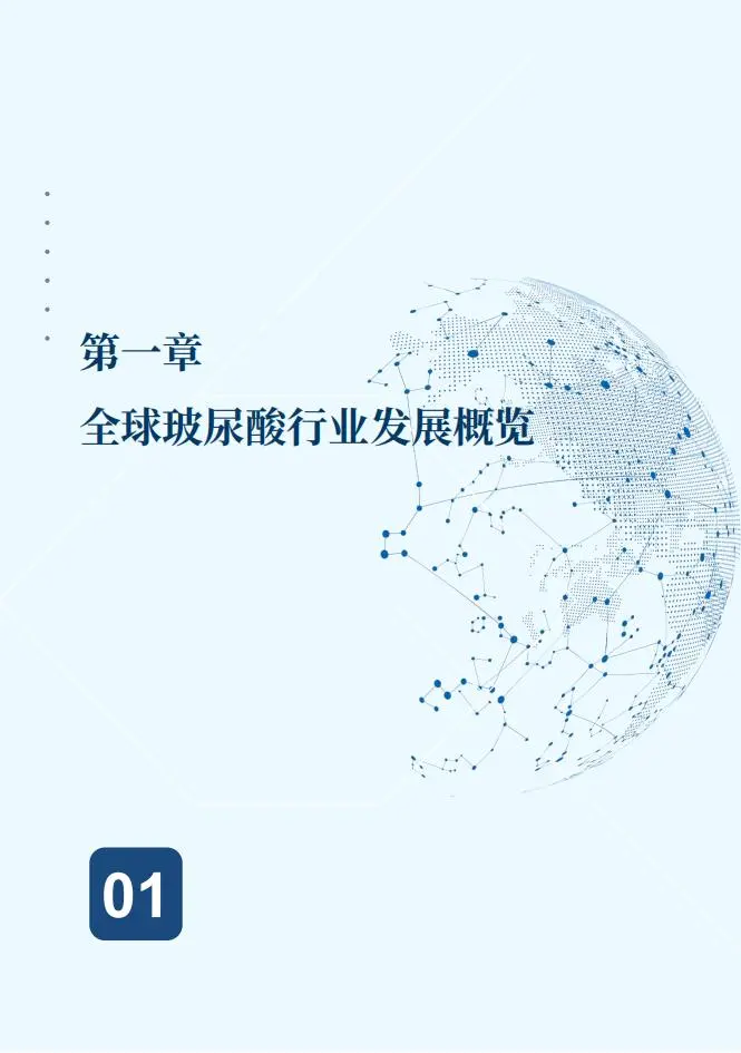 ?2025 高端玻尿酸 技术升级洞察