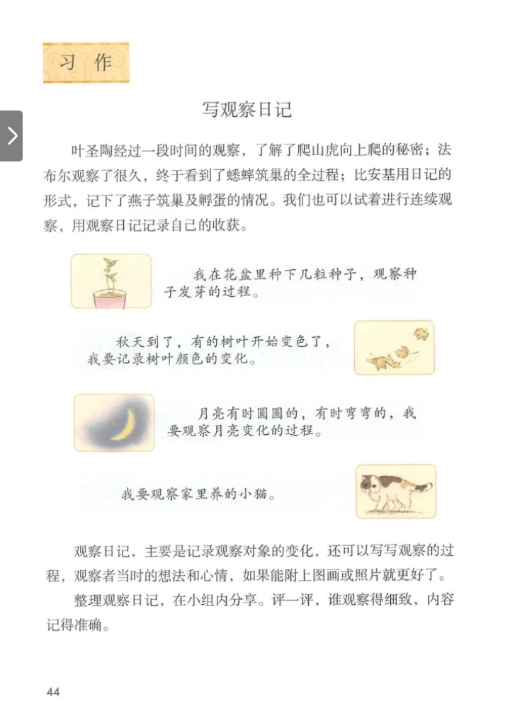植物观察记录单|四年级上册语文专属