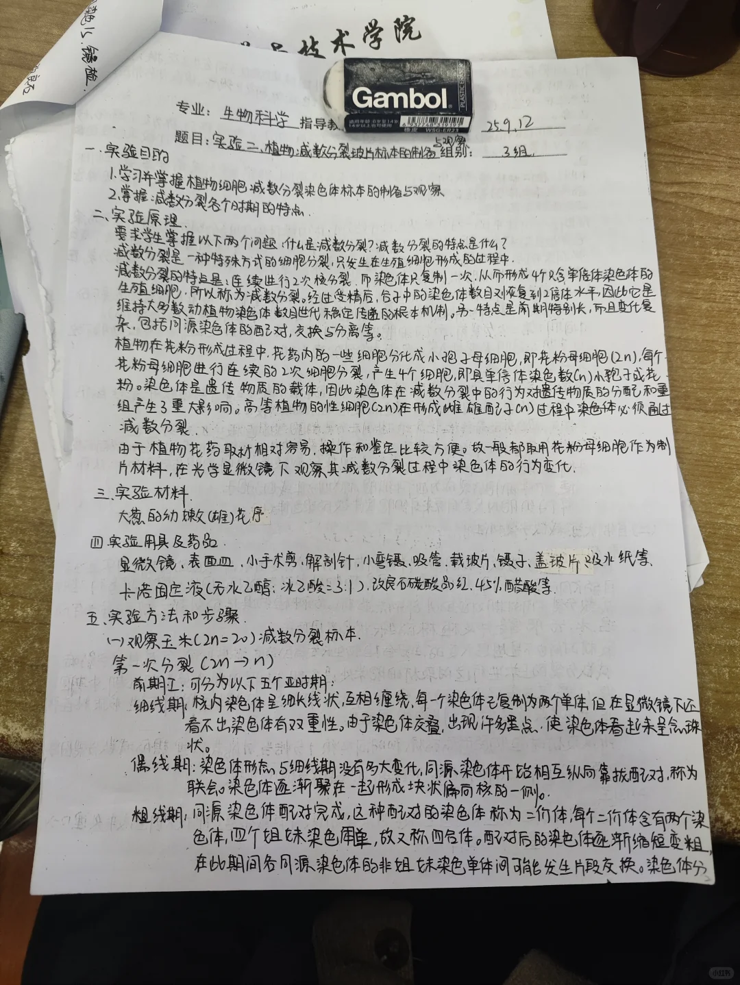 植物减数分裂玻片标本的制备与观察