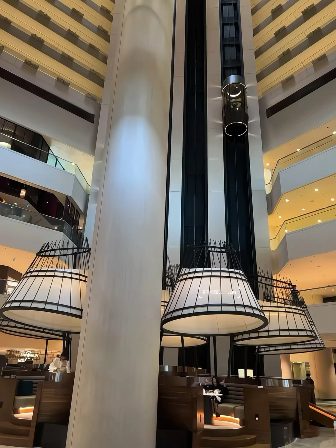 有人去新加坡吗(12.16-3.31)直出泛太平洋?