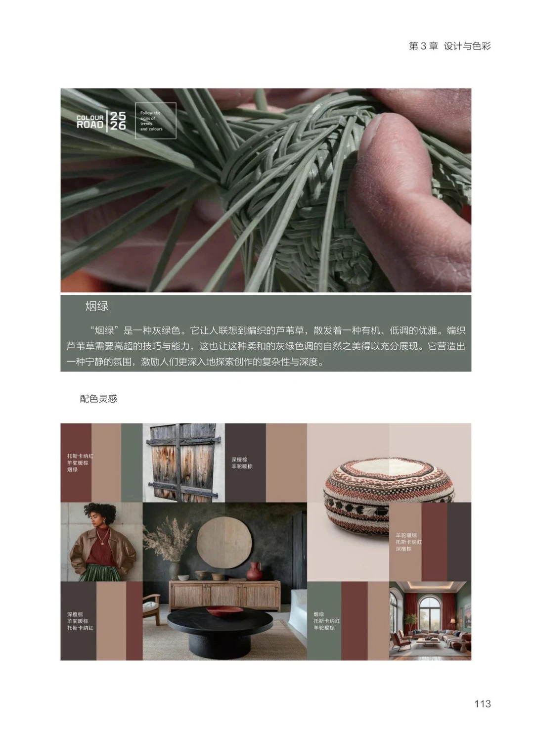 2025 大家居创新趋势研究报告-设计与色彩