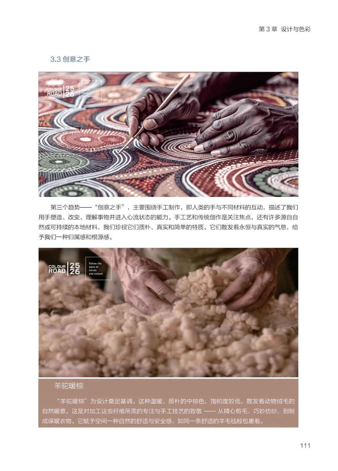 2025 大家居创新趋势研究报告-设计与色彩