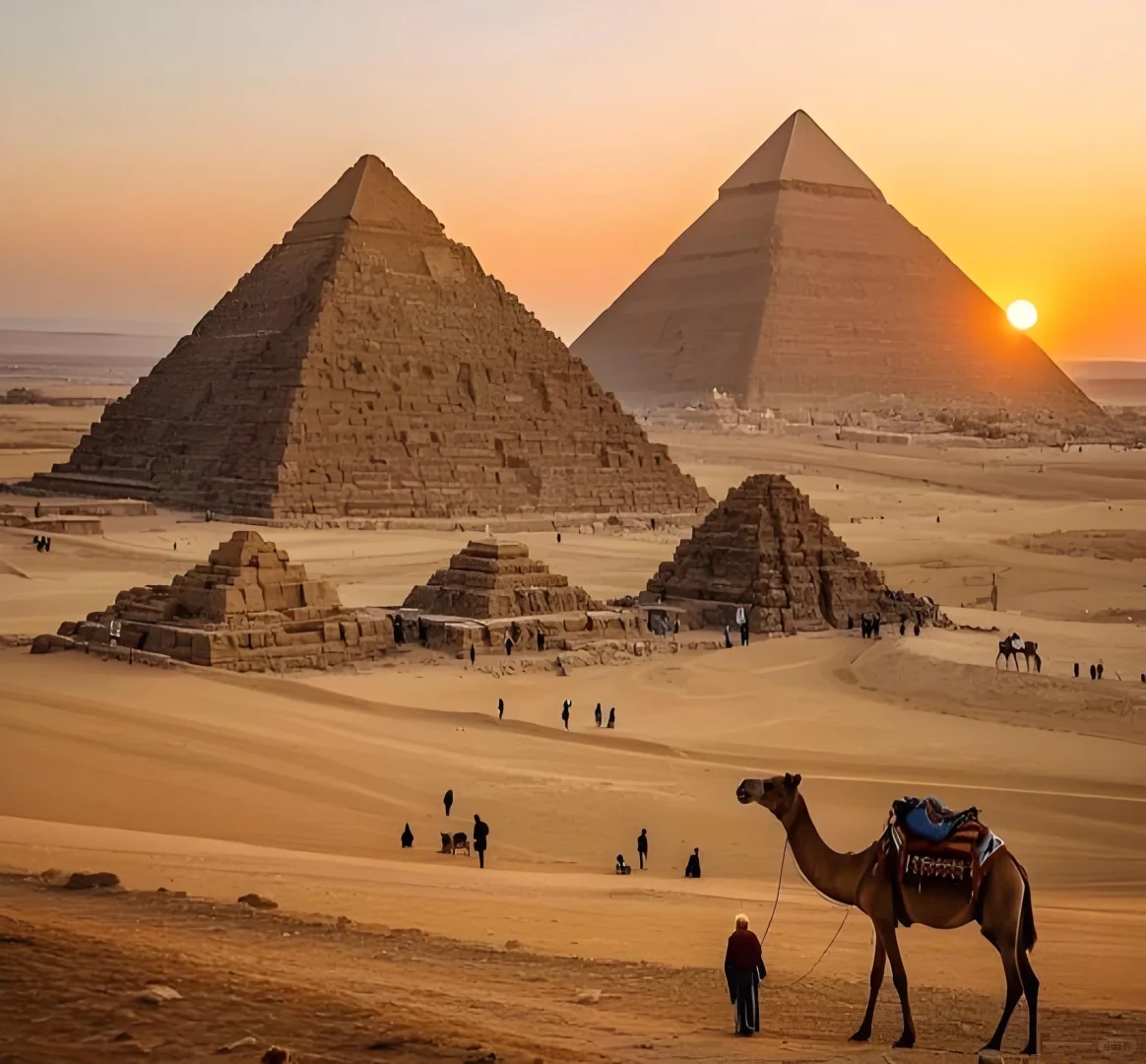 2025埃及贸易深度解析+中国进口TOP清单