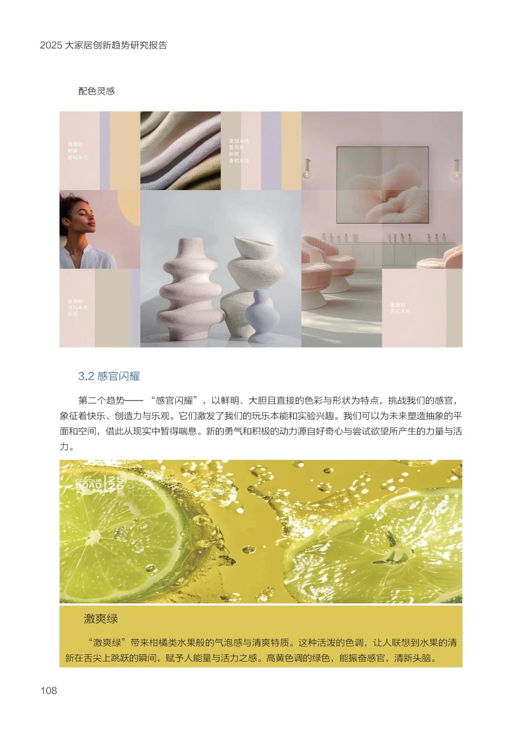 2025 大家居创新趋势研究报告-设计与色彩