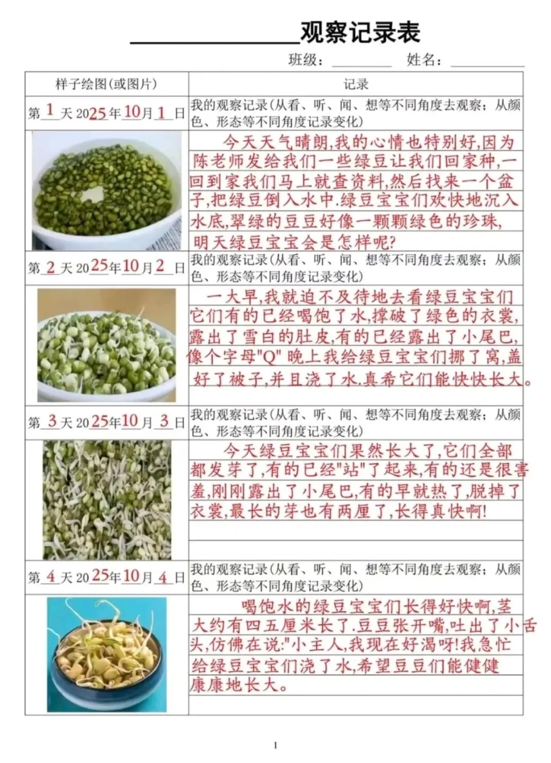 四年级上册语文,豆芽生长观察记录表