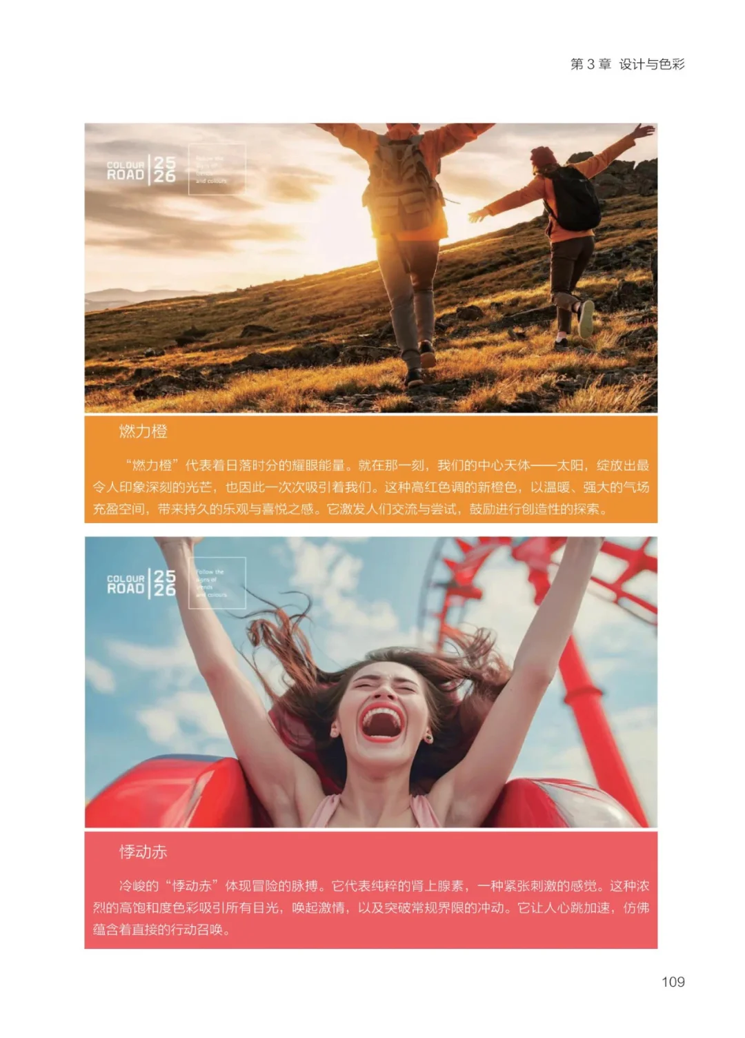 2025 大家居创新趋势研究报告-设计与色彩