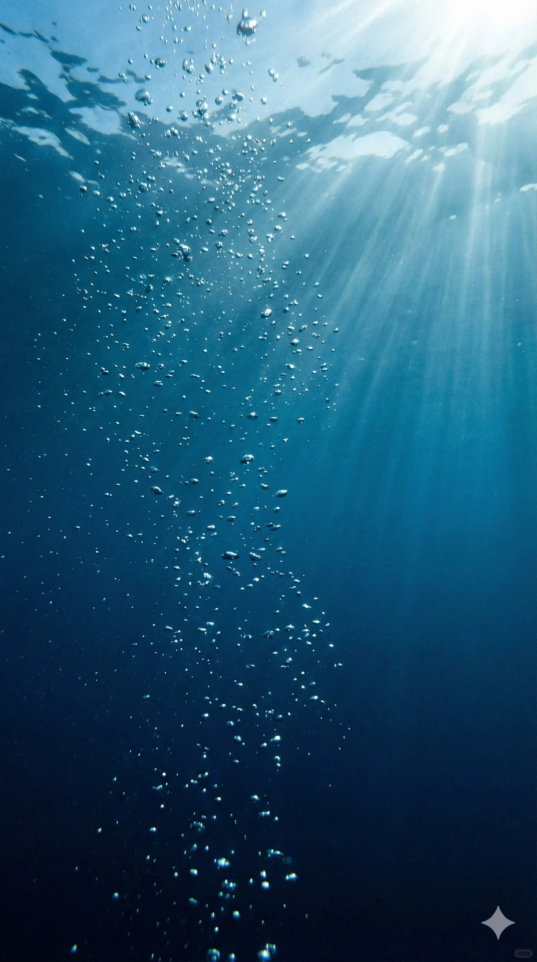 卖saas不如卖Agent的做出来的解决方案。。。