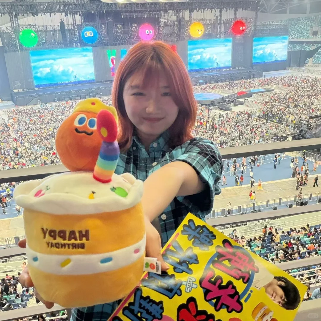 2025Maydayland年度报告