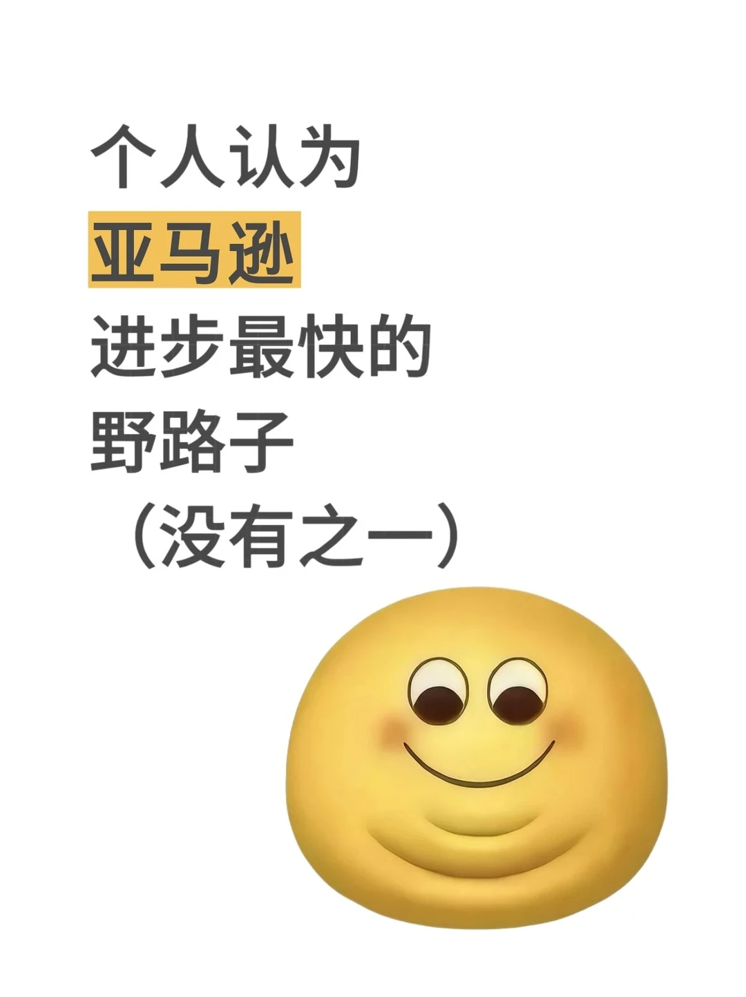 个人认为亚马逊进步最快的野路子（没有之一）