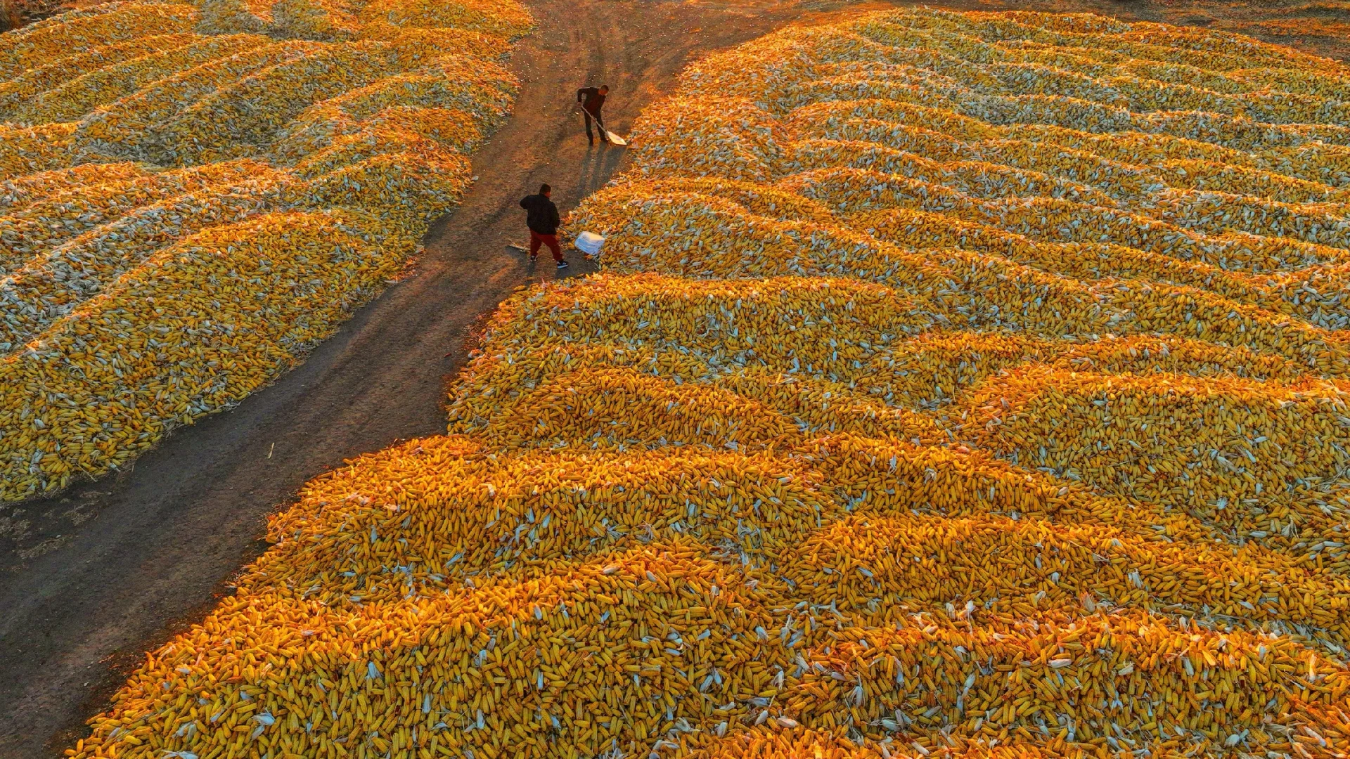 未来三年，普通人应该做什么？