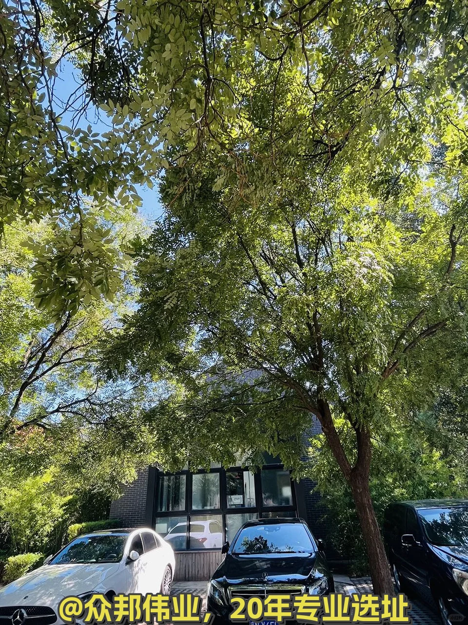 广园文化产业园 365平独立院落