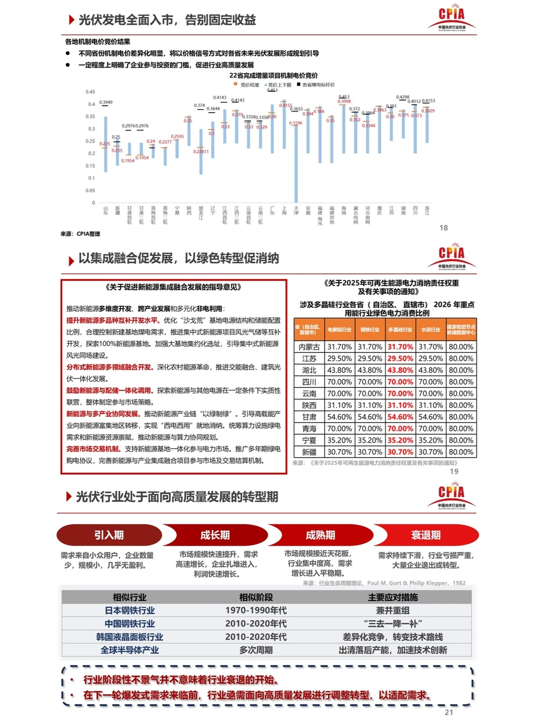 2025光伏行业格局重塑与高质量发展蓝皮书