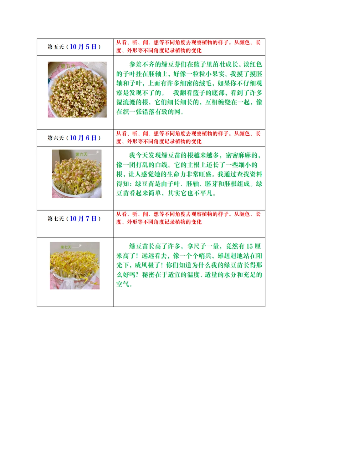 ?绿豆芽生长观察记录表