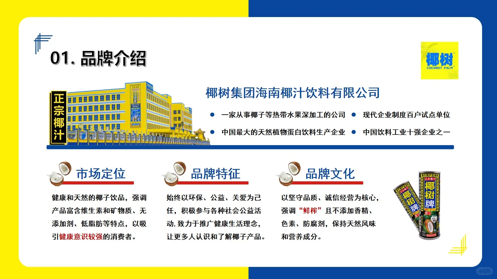 椰树集团营销分析20页