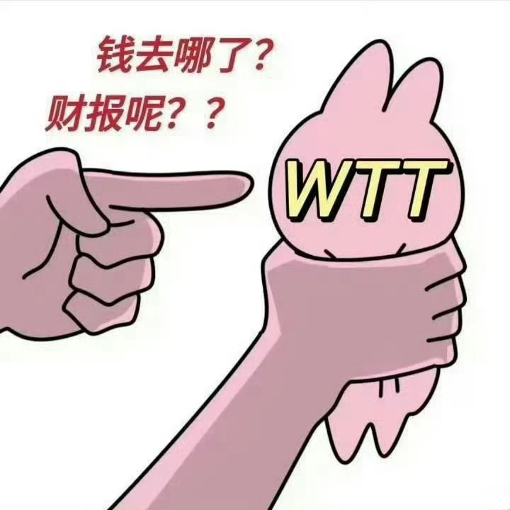 2024年WTT财报公布了没？