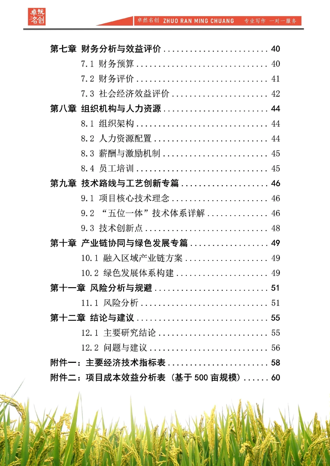 现代农业种植可行性报告，给资方看就这样写