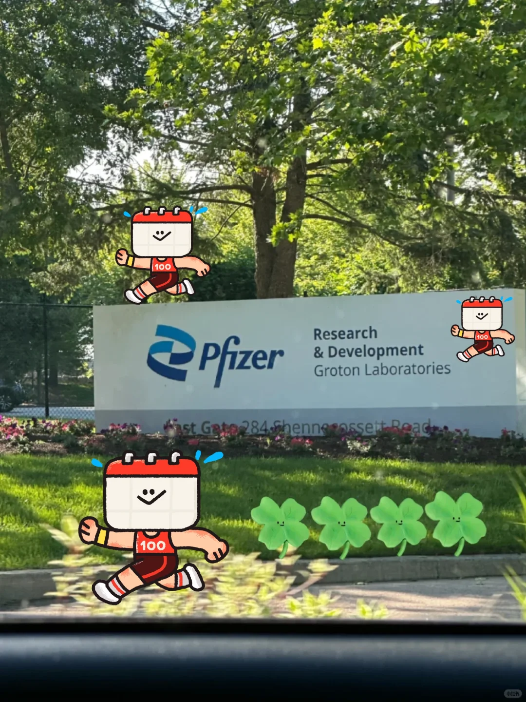 入职辉瑞!强烈建议转行女生考虑AI➕医疗