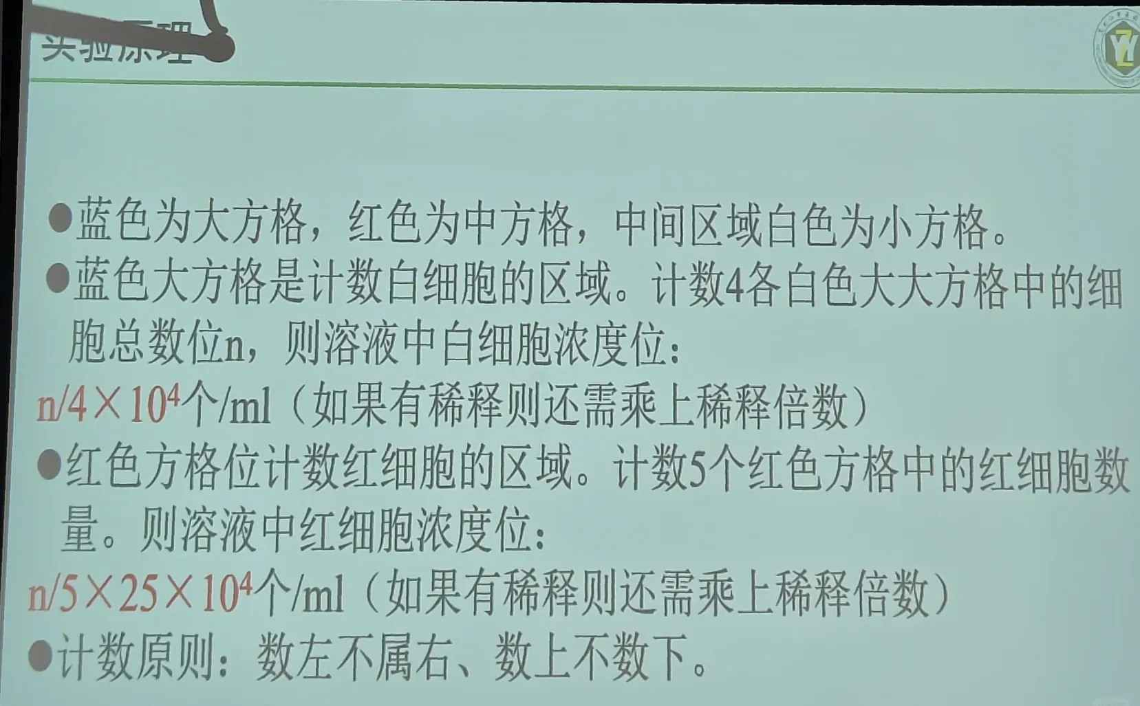 酵母菌的形态观察及死活细胞的鉴定实验报告