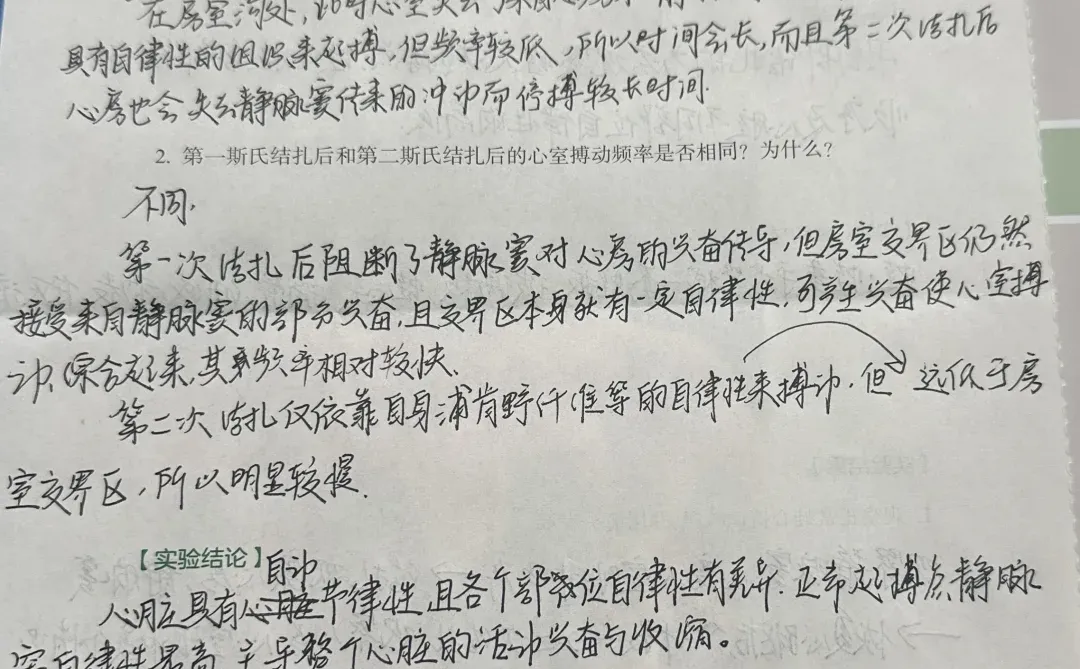 蛙心搏动观察及起搏点分析