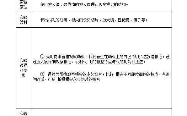 观察根尖的结构实验报告