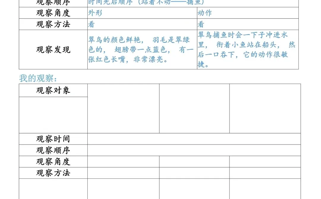 三年级上册第五单元观察单，习作练习单！
