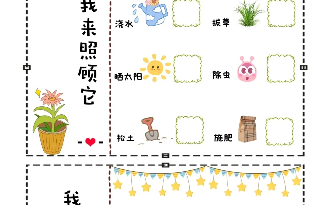 记录表——植物观察