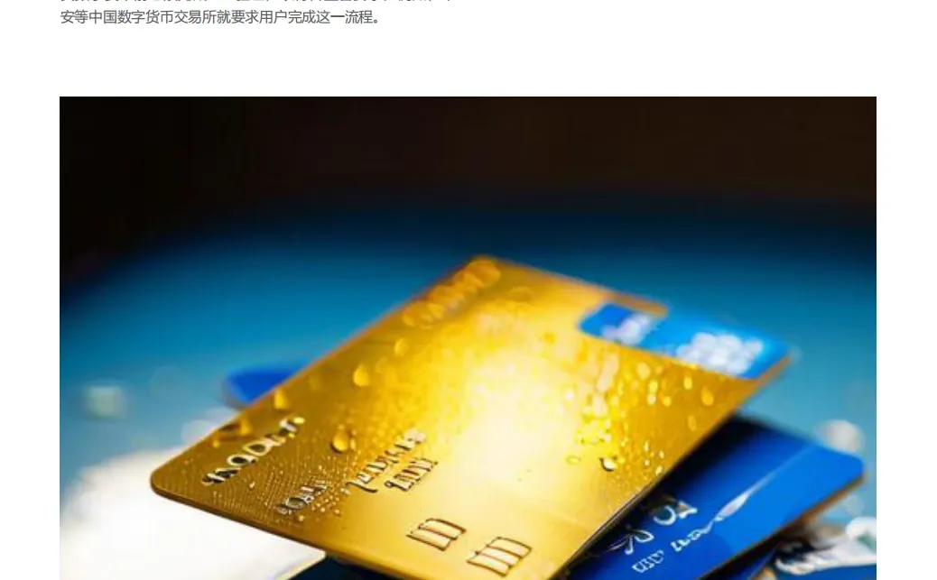 2024年全球数字货币发展报告