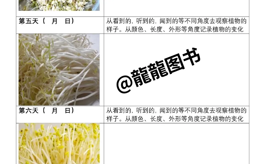 四年级上册语文第三单元观察记录表