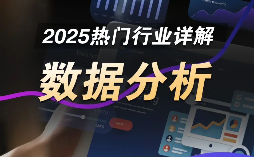 2025热门行业详解——数据分析