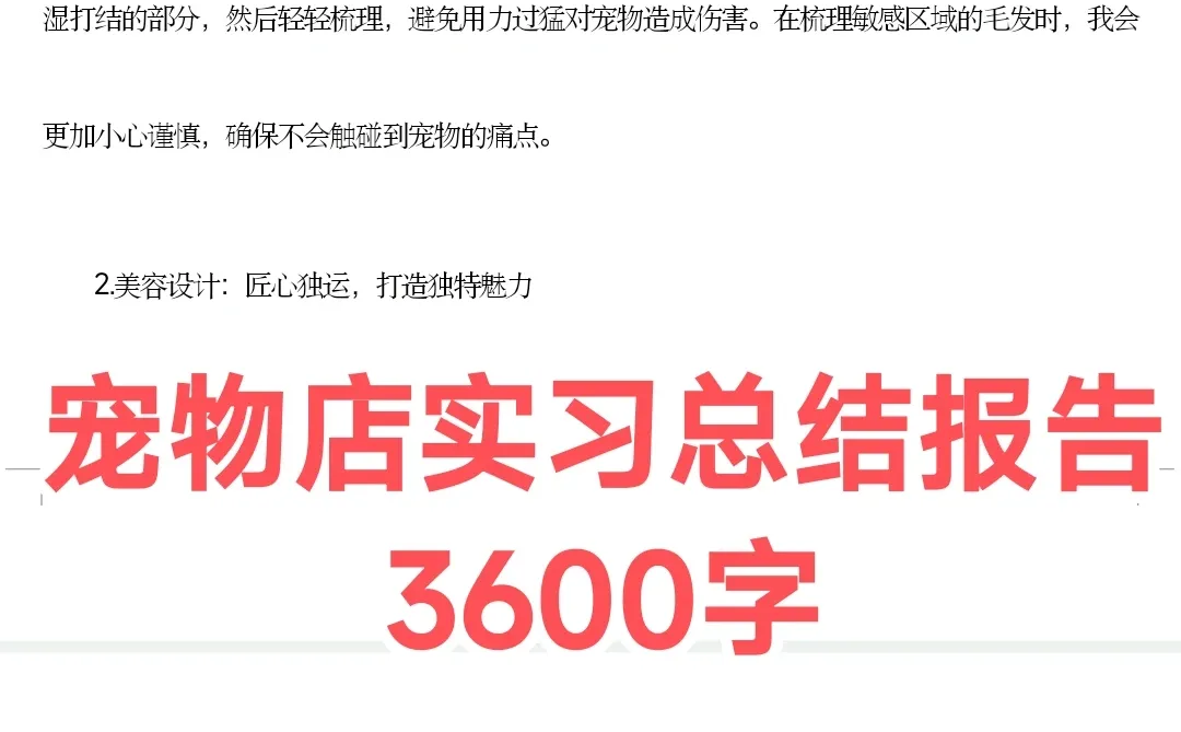 宠物店实习总结报告3600字