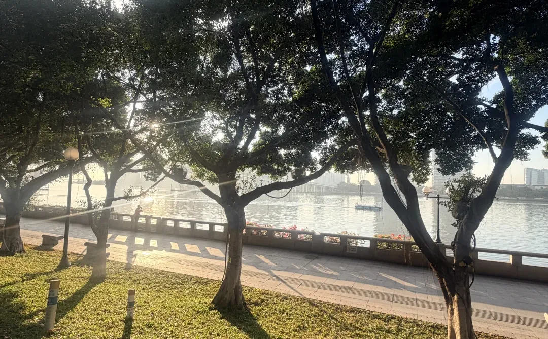 穿越历史聊经济