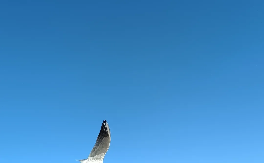 股市的时空位置20251217