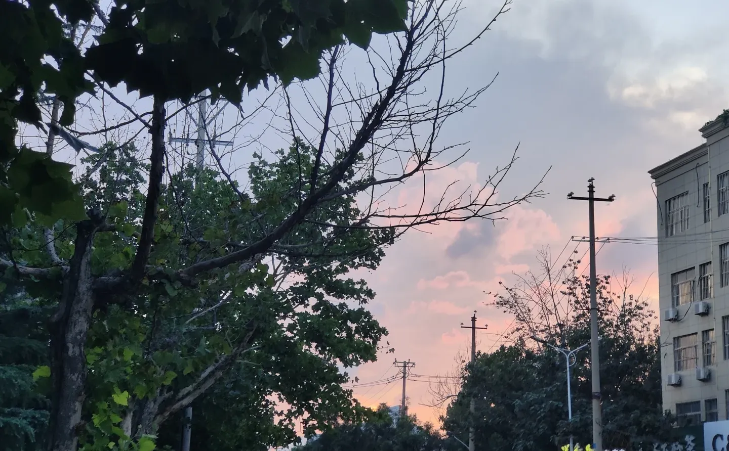 白皮书外科护理学