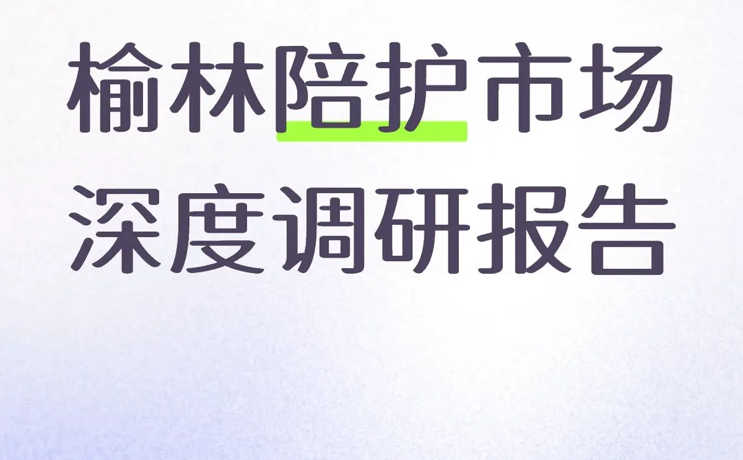 榆林陪护市场深度调研报告
