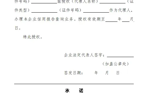 企业法定代表人委托代理人查询企业信用报告