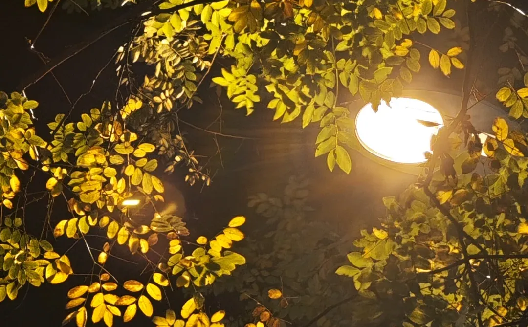 我们都被行业的变动裹挟着