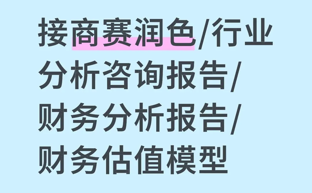 接商赛润色/行业分析咨询报告/财务分析报告