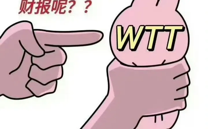 2024年WTT财报公布了没？