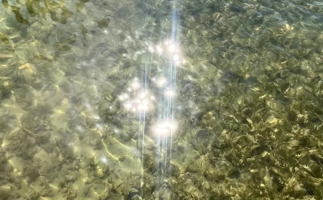 X银行公司部一季度工作总结，直接抄即可!