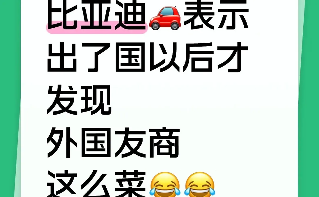 中国比亚迪爱答不理，德国比亚迪你高攀不起