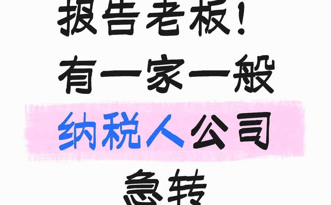 报告老板！有一家一般纳税人公司急转