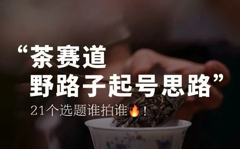 茶赛道起号野路子!她一个月直接爆?