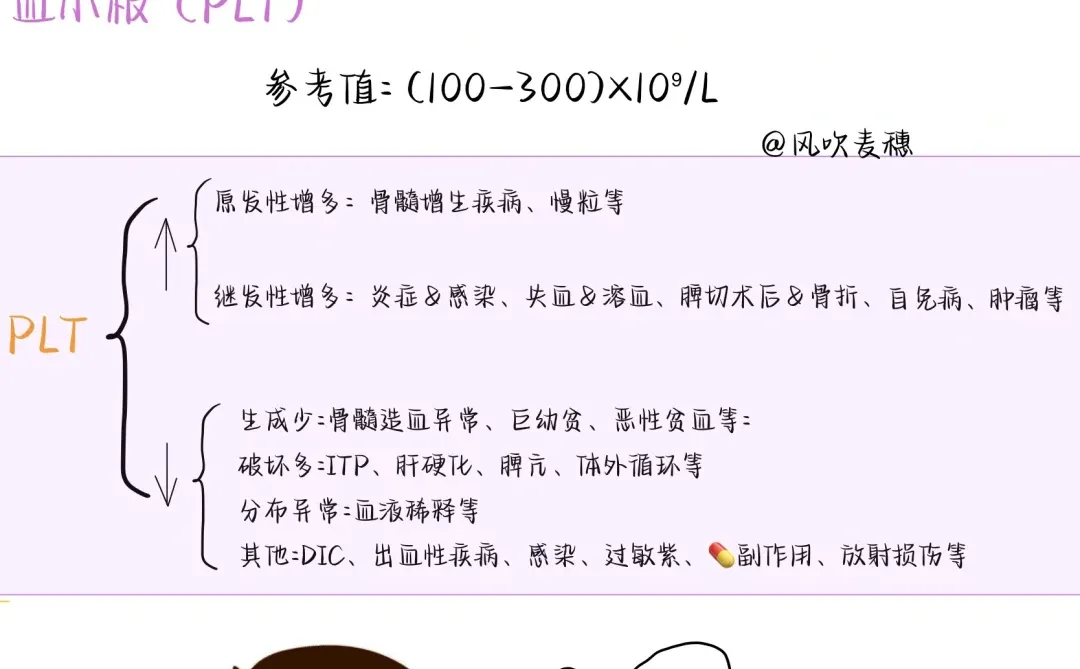 ?医学生笔记| 血常规报告
