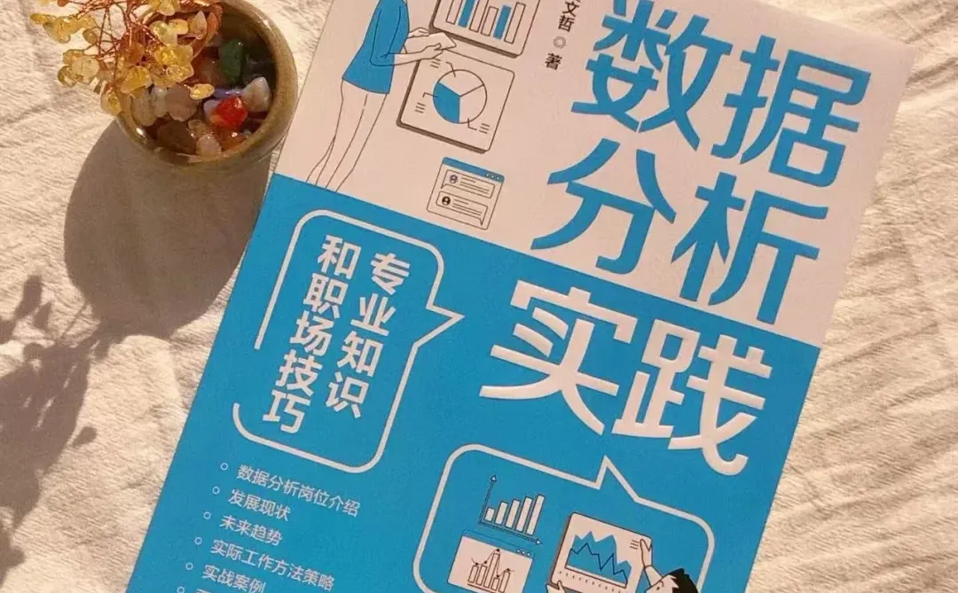 9.1分数据分析?，有点东西